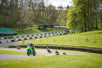 Lower Group Green Bikes